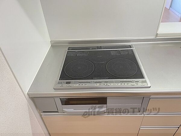 Ｖｉｖａｃｅ 105｜奈良県奈良市杏町(賃貸アパート2LDK・1階・57.30㎡)の写真 その10