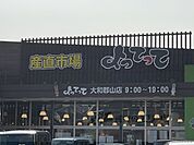 よってって　大和郡山店まで250メートル