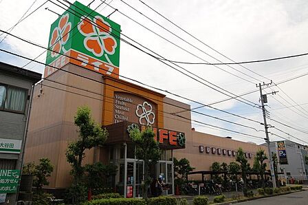 ライフ　大谷田店 490m