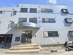 6 / 13