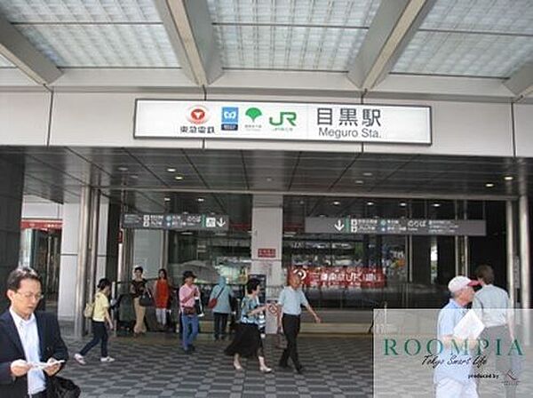画像15:目黒駅(東京メトロ 南北線) 徒歩18分。 1380m