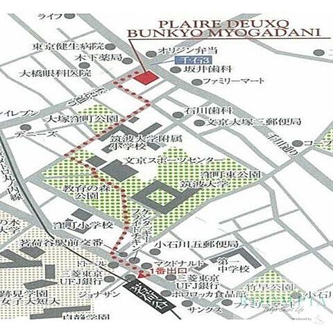 地図