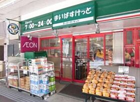 ドムス・スタイル神楽坂 702 ｜ 東京都新宿区東五軒町6-32（賃貸マンション1K・7階・25.51㎡） その23