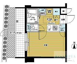 トーシンフェニックス高円寺南 102 ｜ 東京都杉並区高円寺南２丁目2-3（賃貸マンション1K・1階・19.80㎡） その2