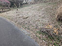 売土地　田方郡函南町丹那
