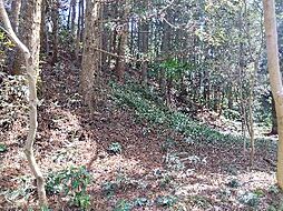 売土地　田方郡函南町平井
