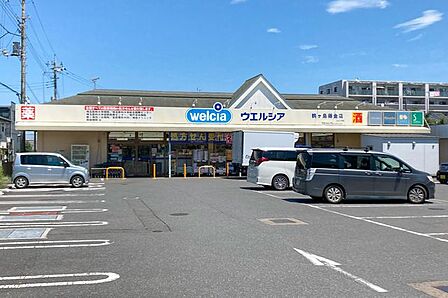 ウエルシア鶴ヶ島藤金店 徒歩4分。 270m