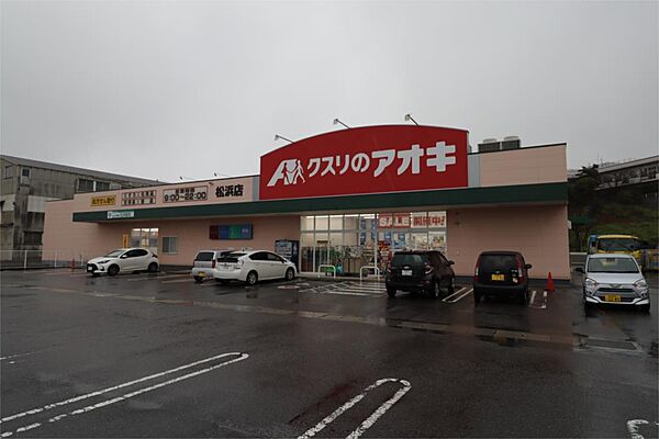 画像20:クスリのアオキ 松浜店（1370m）
