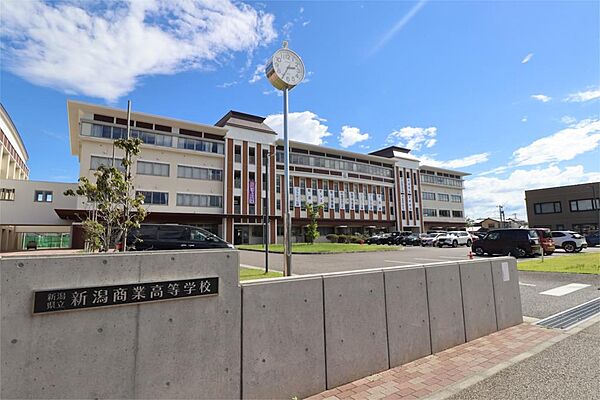 画像19:新潟県立新潟商業高校（138m）