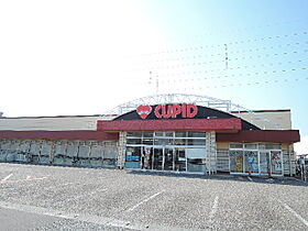 ホポロ美咲町 0602 ｜ 新潟県新潟市中央区美咲町１丁目8-15（賃貸マンション1LDK・6階・43.86㎡） その21