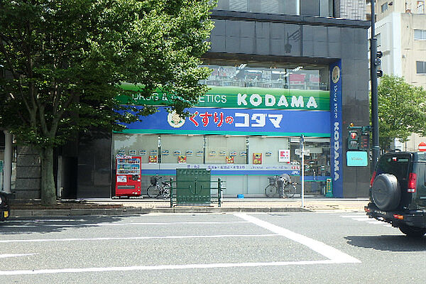 画像16:株式会社コダマ 万代店（229m）