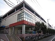 スーパー 1000m