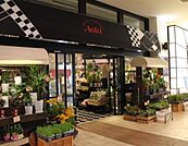 フードストアあおき東京豊洲店 597m