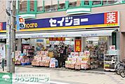 くすりセイジョー 徒歩15分。ドラックストア 1160m