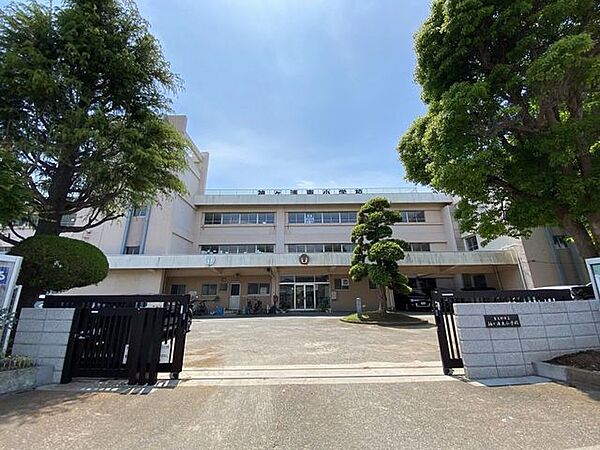 周辺を拡大表示