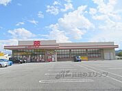 ゴダイドラッグ　氷上本郷店まで2900メートル