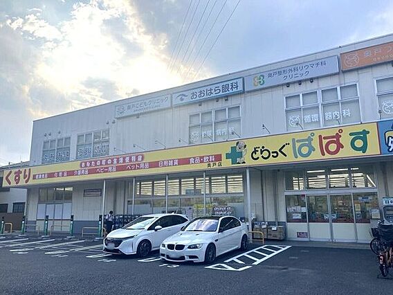 どらっぐぱぱす...