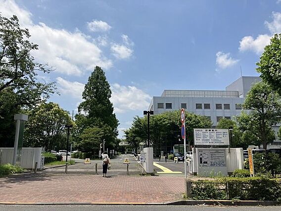 東京都立東部地...