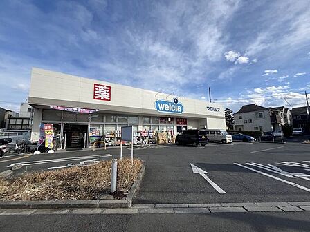 ウェルシア江戸川本一色店 1180m