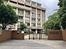 周辺：葛飾区立金町中学校 230m