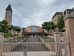 コート　アプルーバル　ネオ