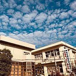 コート　アプルーバル　ネオ