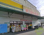 ジャパン塚口店 1467m