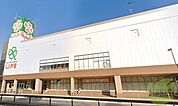 ライフ夙川店 465m