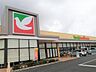 周辺：ヨークベニマル戸祭店（497m）