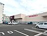 周辺：ドラッグストアコスモス　城ケ崎店営業時間:10:00〜21:00 1600m