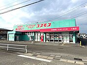 ドラッグストアコスモス大島店 1020m