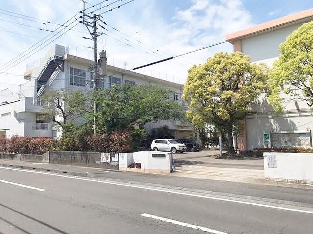 Image 13