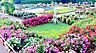 周辺：【公園】伊奈町町制施行記念公園　バラ園まで1897ｍ