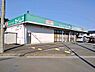 周辺：【ドラッグストア】ドラッグセイムス　伊奈中央店まで250ｍ
