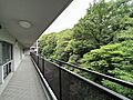 北西側は豊かな...
