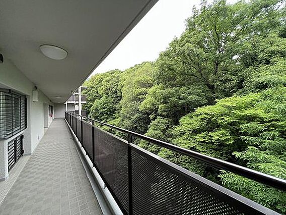 北西側は豊かな...