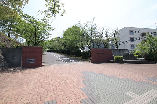 画像8:愛知県立緑丘高等学校