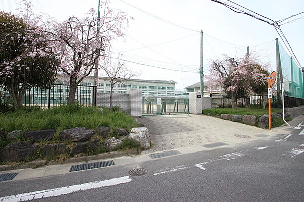 NK守山 108｜愛知県名古屋市守山区新城(賃貸マンション1K・1階・19.56㎡)の写真 その4