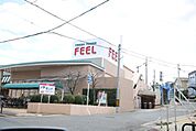 フィールみかん山