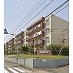 愛知県名古屋市中川区一色新町2丁目：物件画像／株式会社洞口　ROOMSELECT八田店
