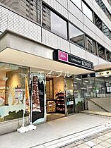 エスリードレジデンス本町パークフロント  ｜ 大阪府大阪市西区京町堀1丁目（賃貸マンション1LDK・3階・29.36㎡） その20