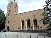 早稲田大学 262m