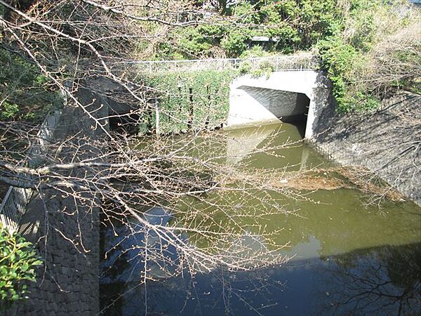 パークハビオ飯田橋 1305｜東京都千代田区飯田橋２丁目(賃貸マンション2LDK・13階・50.38㎡)の写真 その21