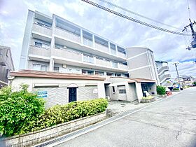 ドゥヴァンルパルク川村  ｜ 大阪府八尾市八尾木北6丁目（賃貸マンション2LDK・4階・59.04㎡） その1