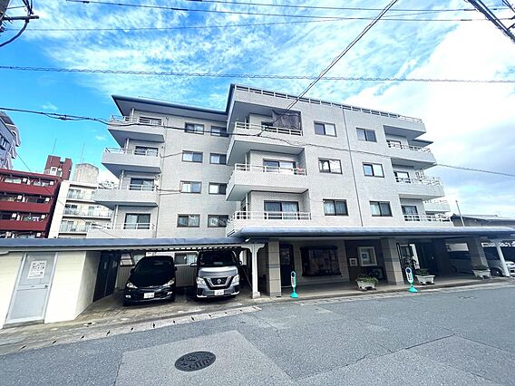 綺麗に整備され...