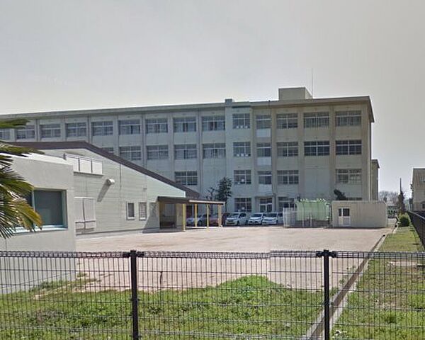 画像26:【小学校】姫路市立小学校 白鳥小学校まで1243ｍ