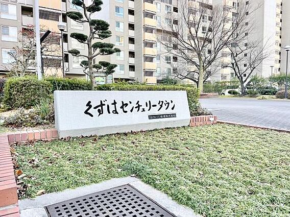 総戸数1204...
