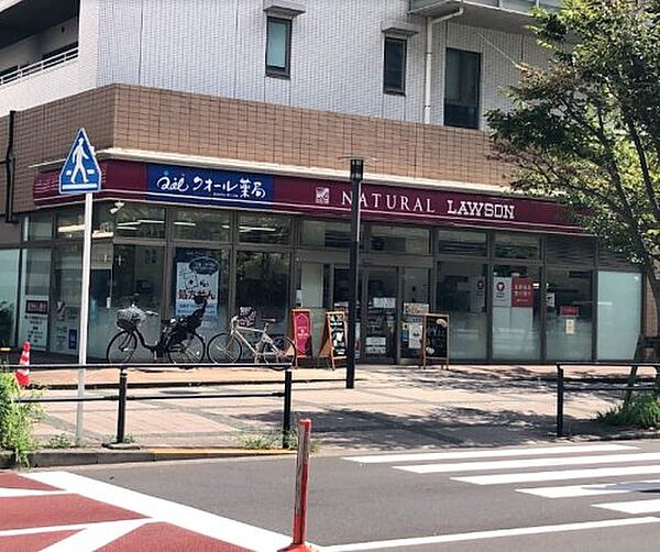 画像24:【コンビニエンスストア】ナチュラルローソン 豊洲三丁目店まで72ｍ