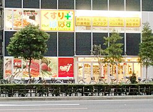 セルリアンホームズ勝どき ｜東京都中央区勝どき3丁目(賃貸マンション2LDK・2階・61.92㎡)の写真 その24