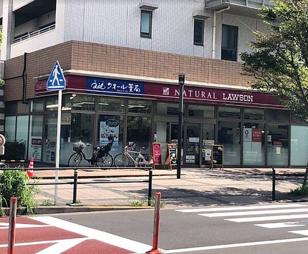 画像20:【コンビニエンスストア】ナチュラルローソン 豊洲三丁目店まで72ｍ